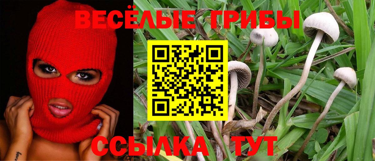 Екатеринбург  Галлюциногенные грибы мицелий  Вход с VPN 