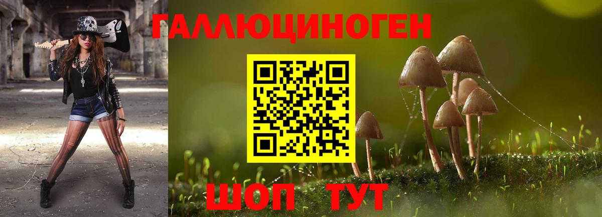 Псилоцибиновые грибы мицелий Екатеринбург